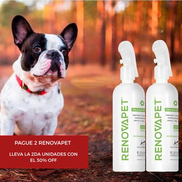 RENOVAPET ORAL 🐶 Adiós Al Sarro 😻