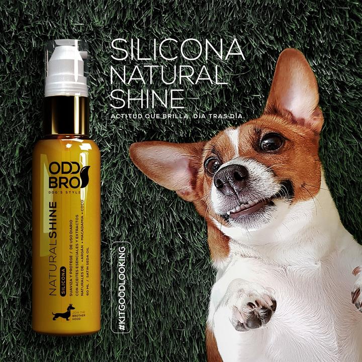 KIT DE BELLEZA CANINA - ODDBROS🐶